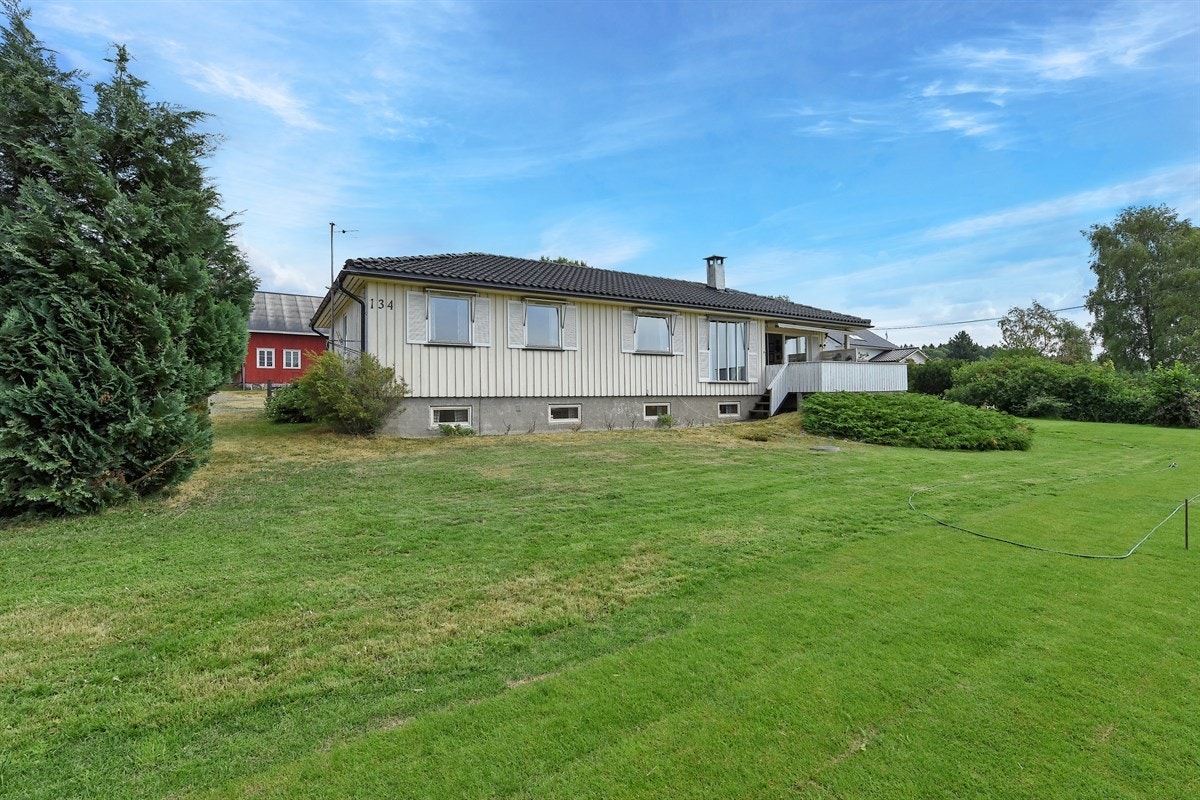 Solrik og luftig. Galleribilde