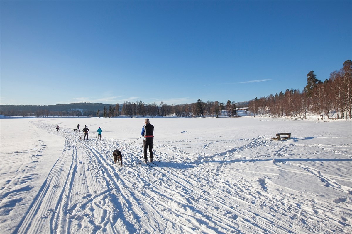 Områdebilde. Galleribilde