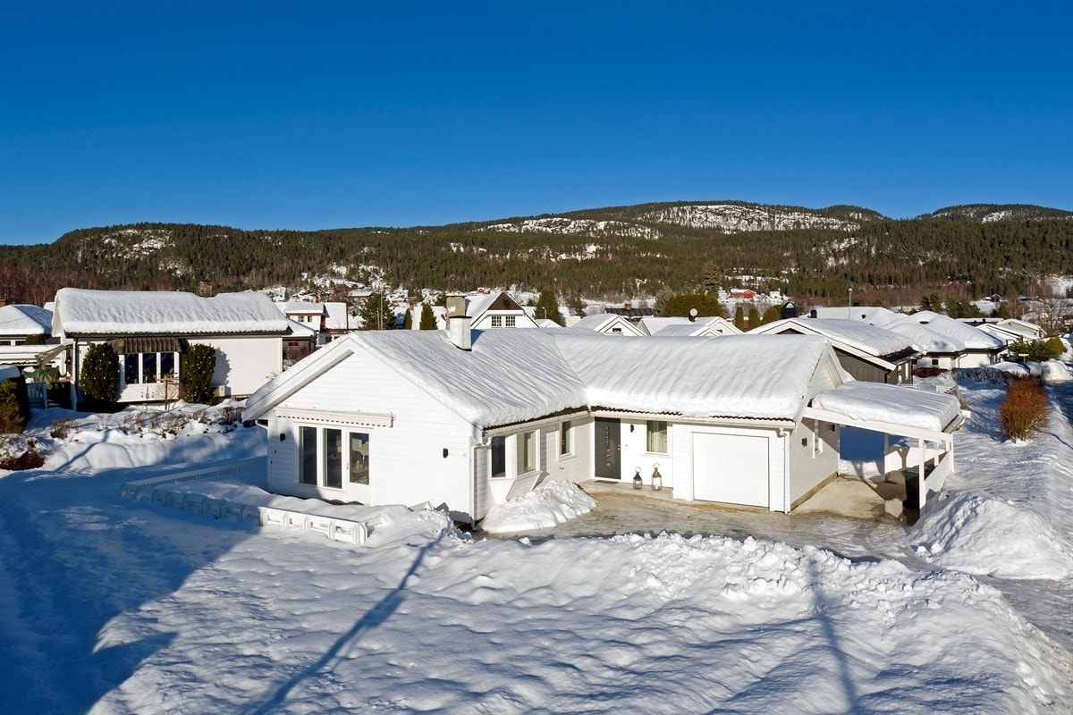 Fasade. Galleribilde