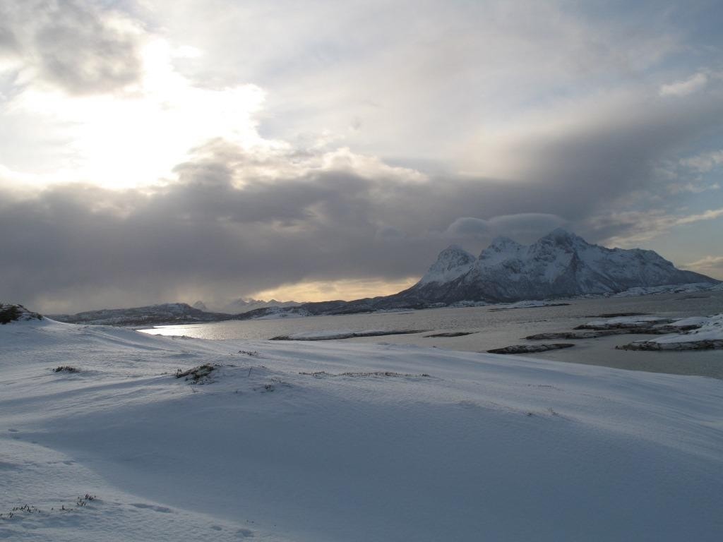 Vinterland Galleribilde