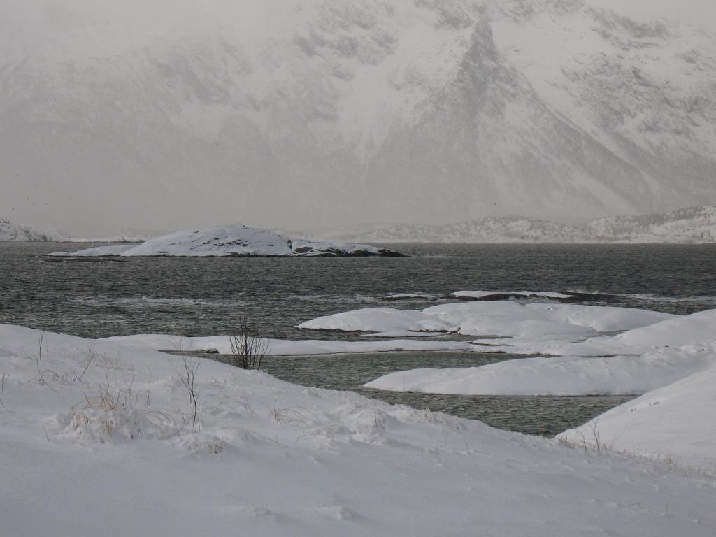 Vinter i nord er vel så spennende som den grønne årstida Galleribilde