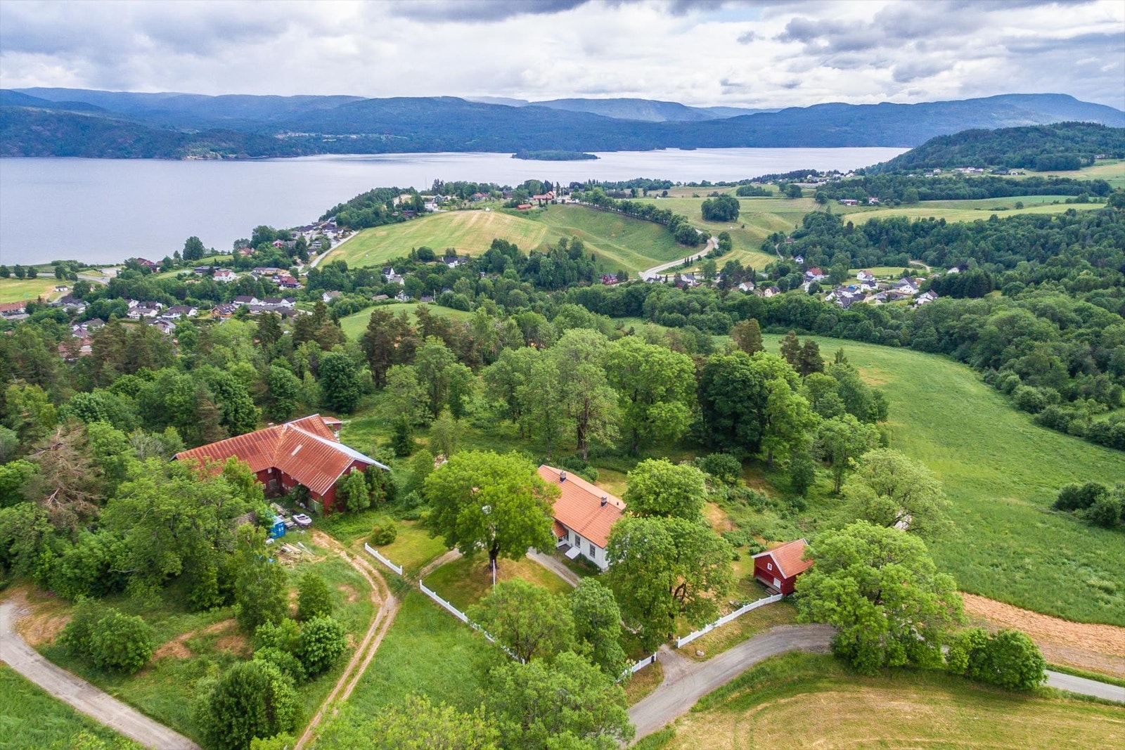 Området. Galleribilde