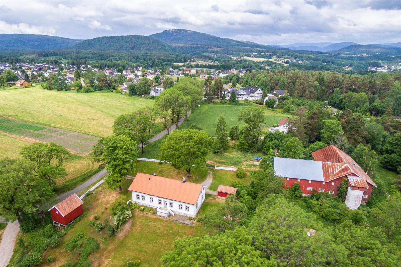 Området. Galleribilde