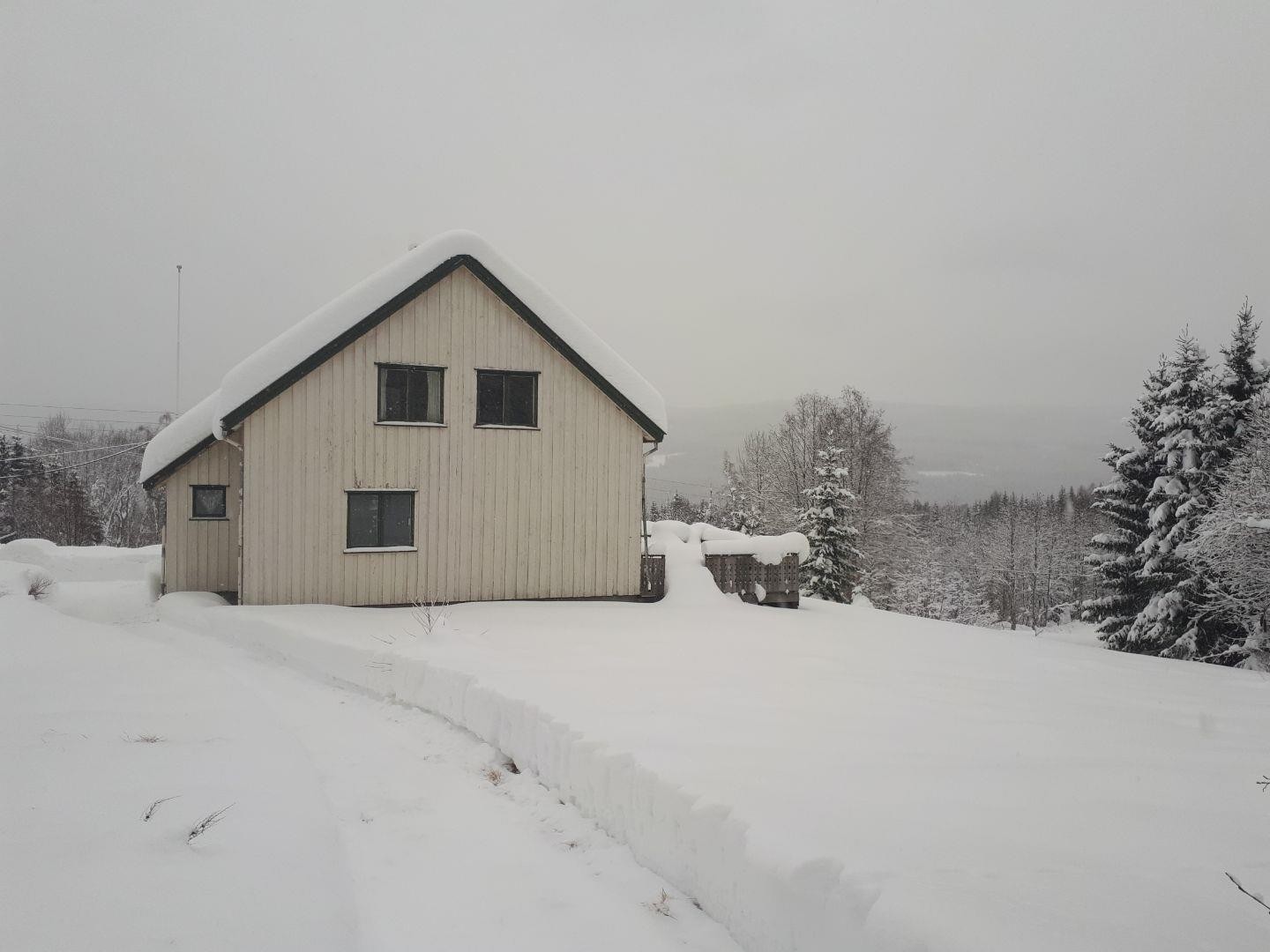 Fasadebilde om vinteren. Galleribilde