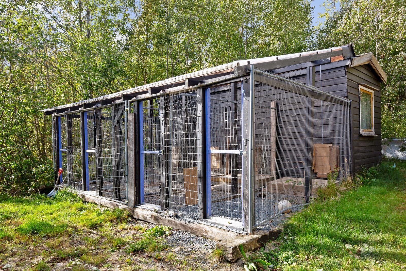 Hundegård fra 1980 på ca. 13 kvm i BRA. Galleribilde