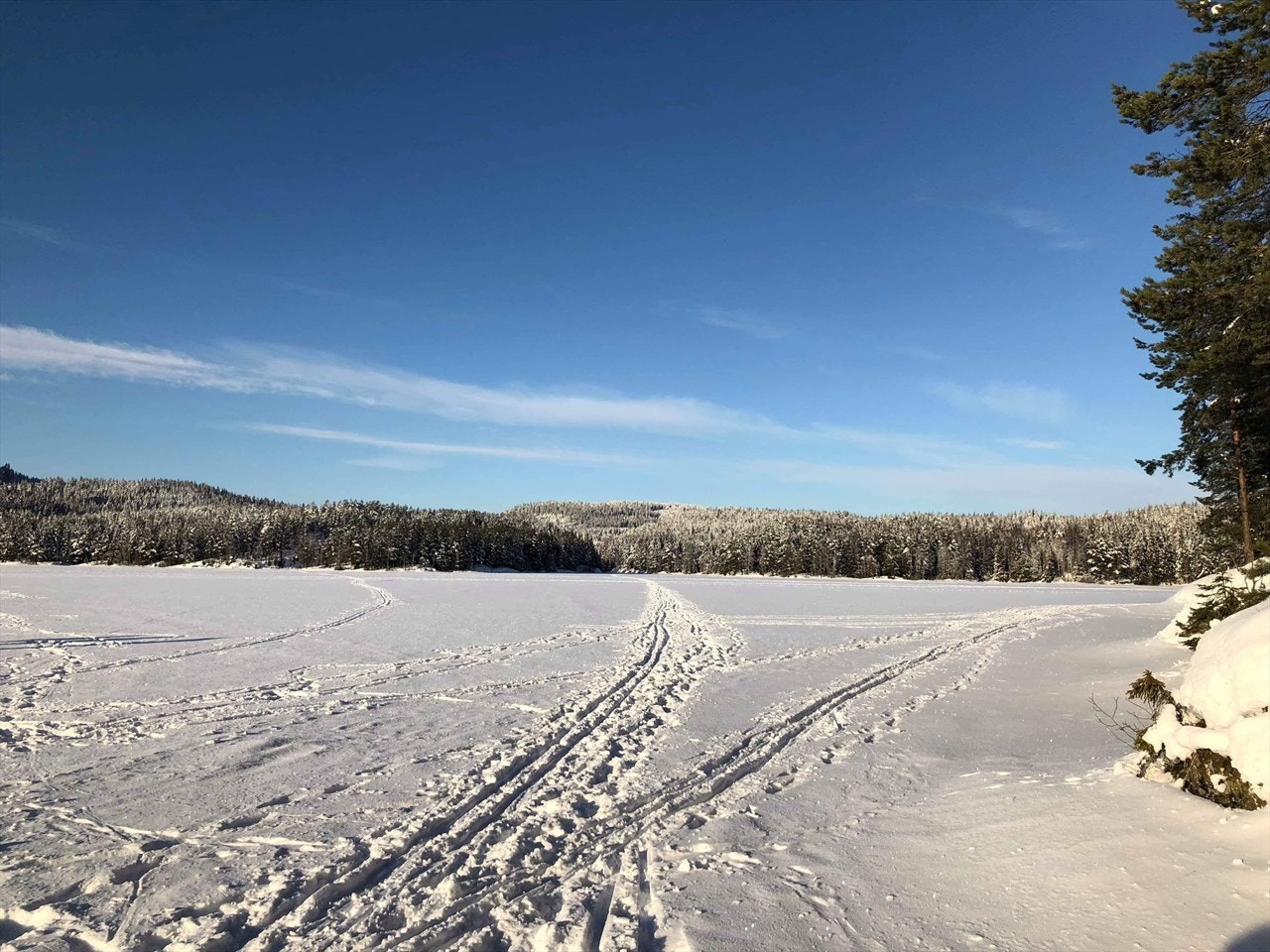 Marka byr på et bredt løypenett, men man kan også sette sin egen kurs over Alunsjøen. Copyright: Bente Midtskogen Galleribilde
