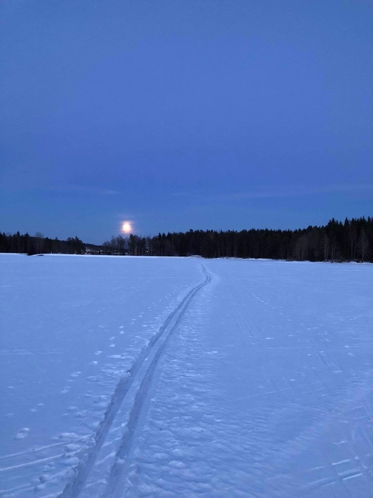 Ta en idyllisk måneskinnstur over Alunsjøen. Copyright: Bente Midtskogen Galleribilde