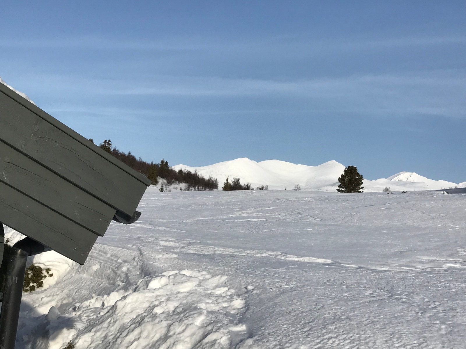 Mot smiubelgen Galleribilde