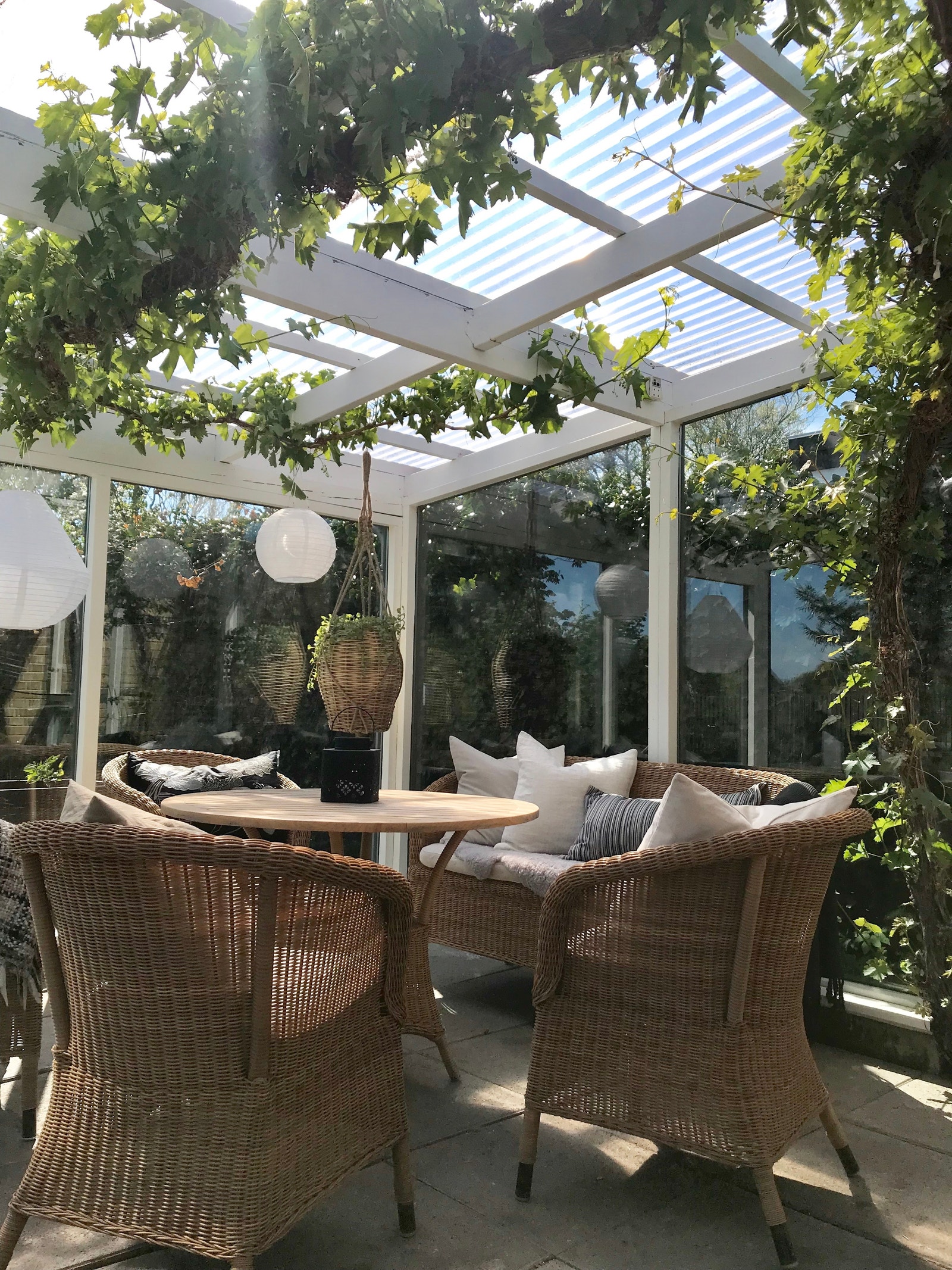 Hagestue med drueplanter i taket Galleribilde