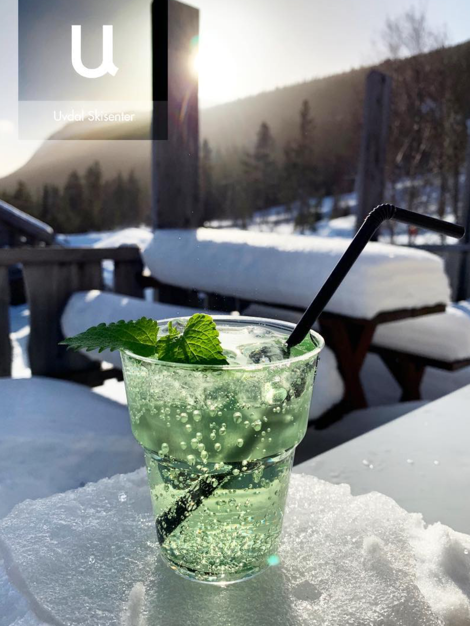 Grab A drink in the LAVO nearby. Galleribilde