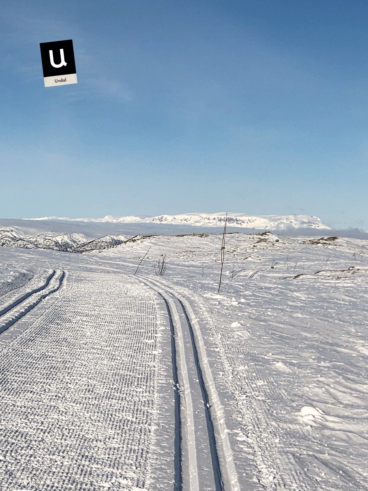 Fantastic ski tracks at Dagalifjell nearby Galleribilde