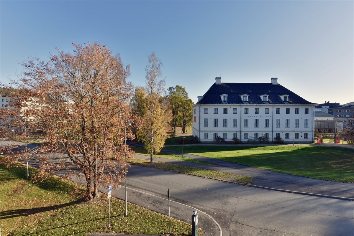Boligen har også kort gange til idrettsparken på Marienlyst som har fotballbaner med skøyteis om vinteren. Galleribilde