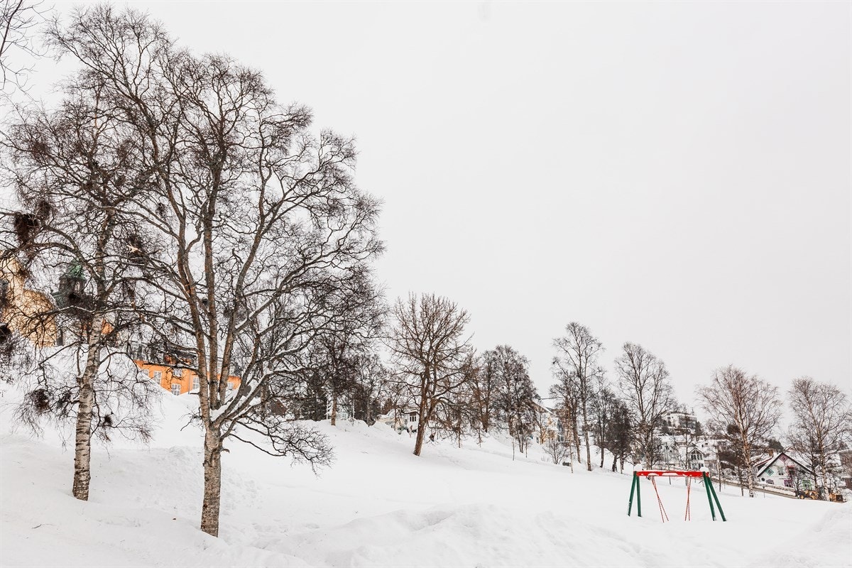 Kongeparken er like ved, med Galleribilde