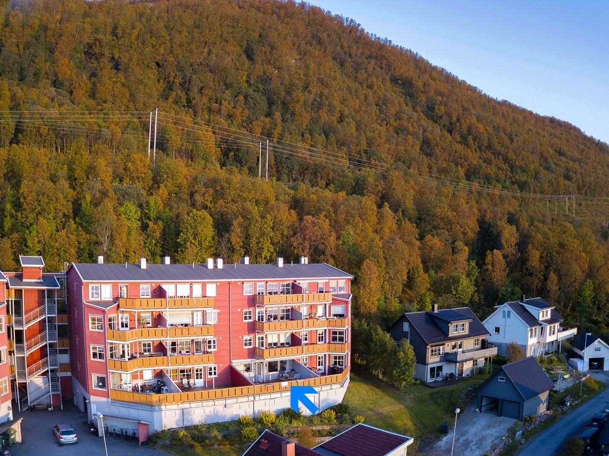 Dronefoto av fasade. Naturen som nærmeste nabo