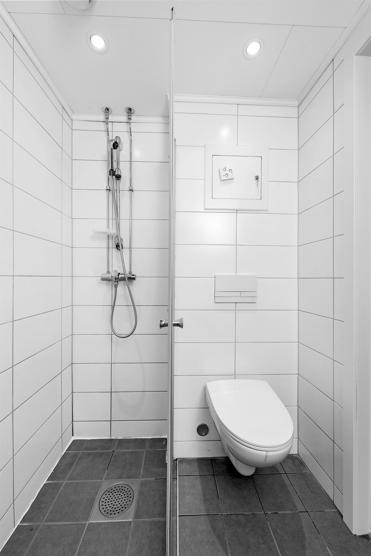 Dusjen er plassert i nedfelt dusjnisje med innfellbare glassdører og hånddusj. Badet har også opplegg for vaskemaskin. Galleribilde