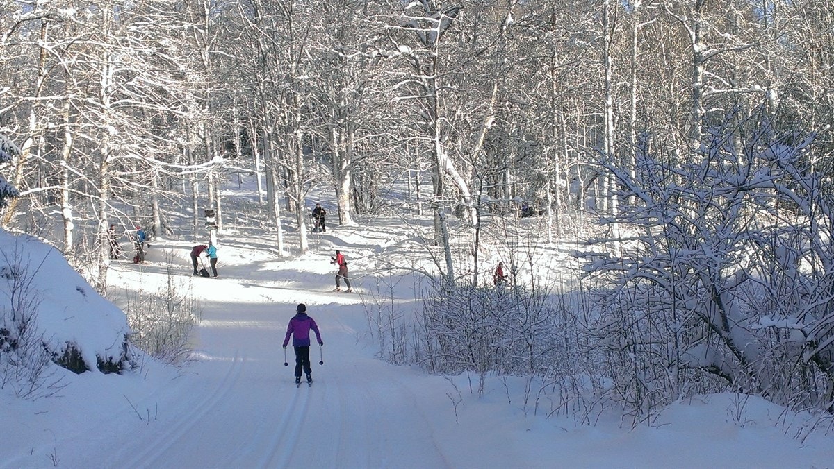 Kort vei til skiløypene i Østmarka. Her fra Gullsmeden - en gammel husmannsplass mellom Nøklevann og Sør-Elvåga Galleribilde