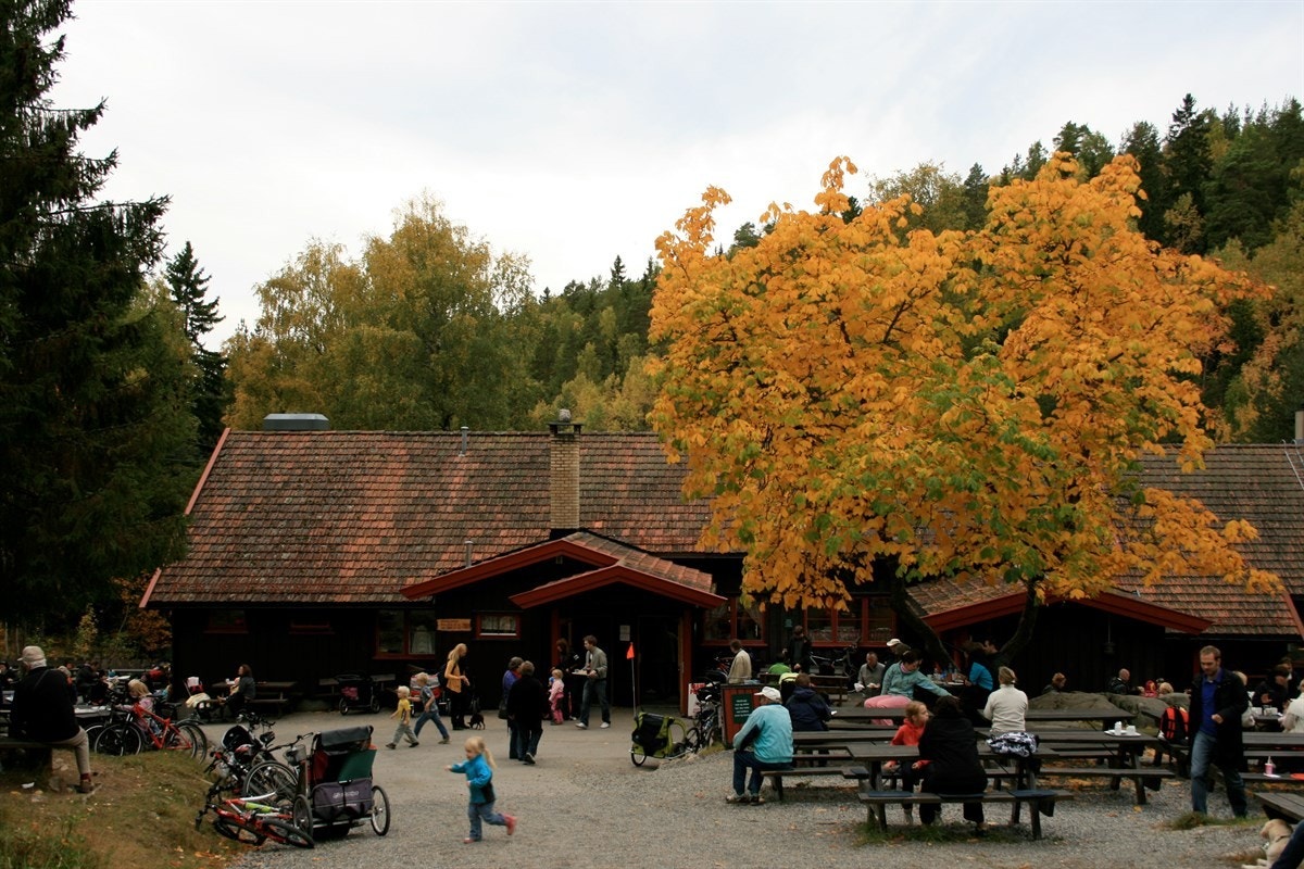 Rustadsaga sportsstue Galleribilde