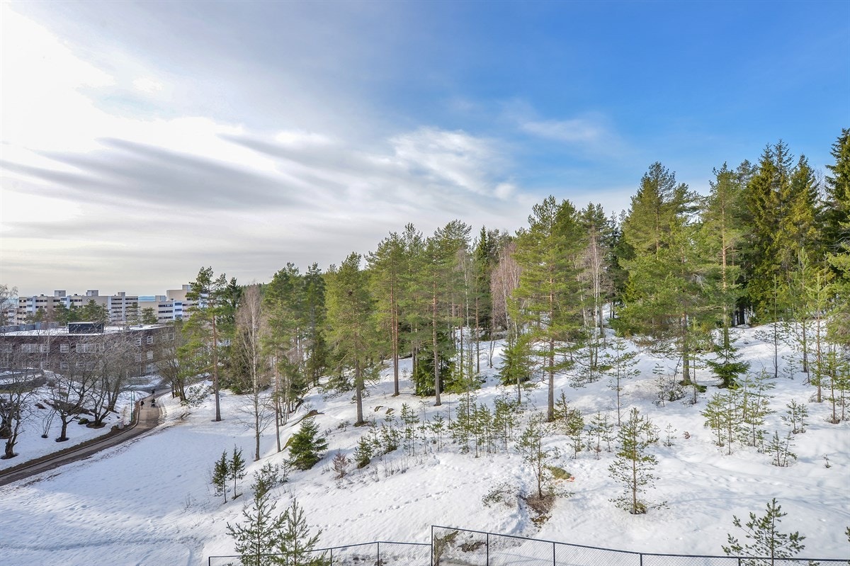 Umiddelbar nærhet til marka og badevann(Svarttjern). Her kan sommer og vinter virkelig nytes! Galleribilde
