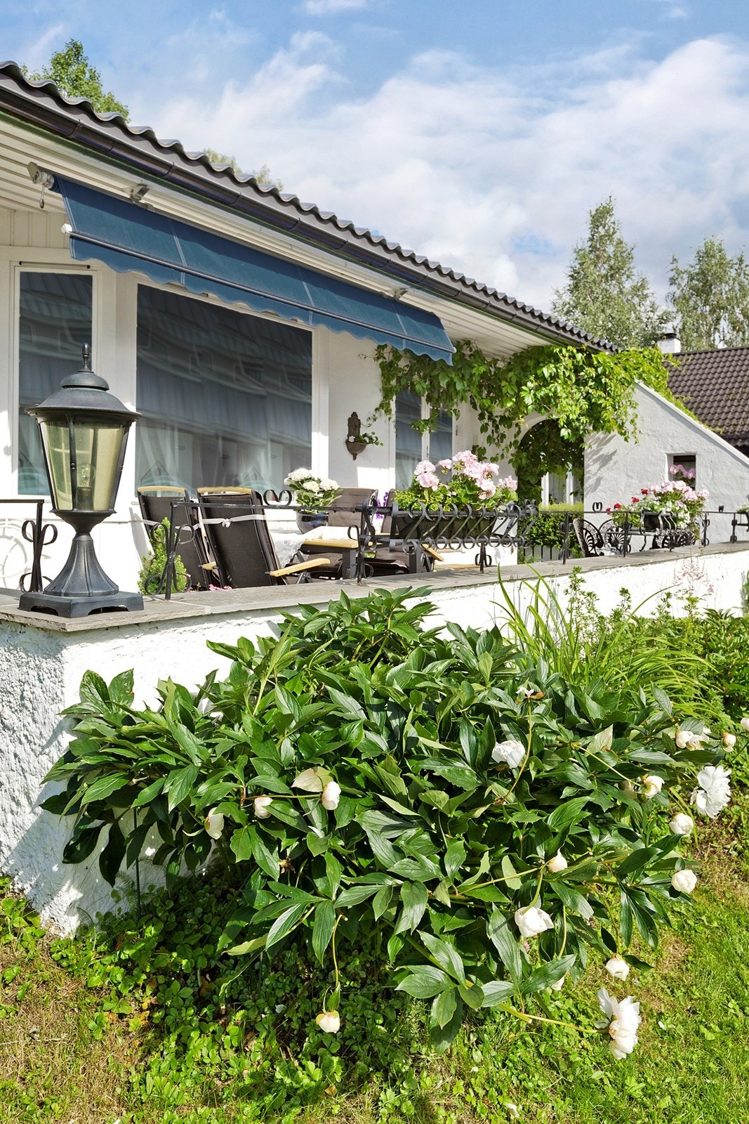 Den frodige hagen har rikelig med beplantning. Bilde fra sommeren 2011. Galleribilde