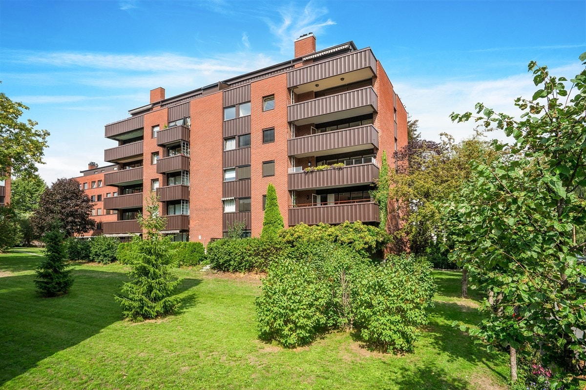 Sommerbilde fra bakgården. Galleribilde