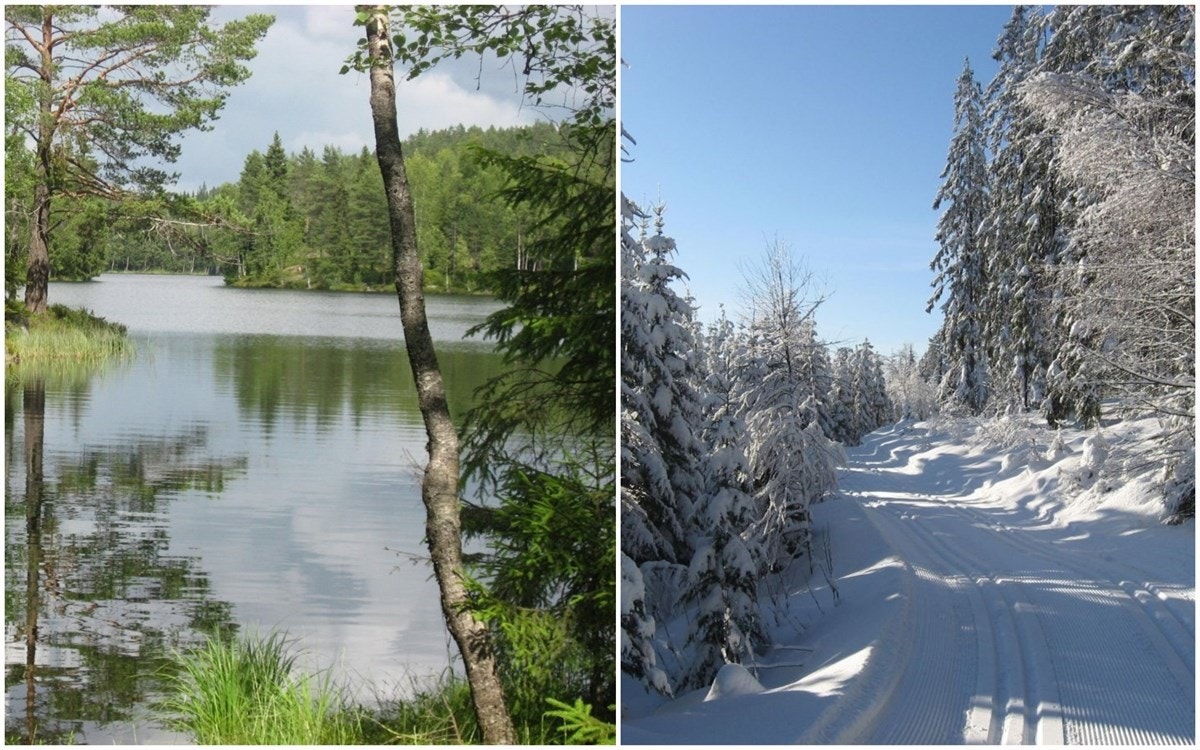 Lilomarka byr på lekker natur og rikelig friluftsliv. Både vinter og sommer. For mer info: https://www.lillomarkaarena.no Galleribilde