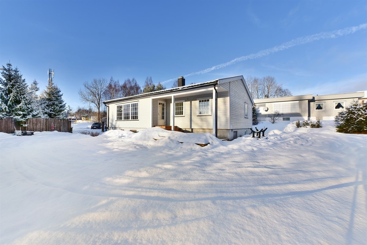 Romslig tomt. Galleribilde