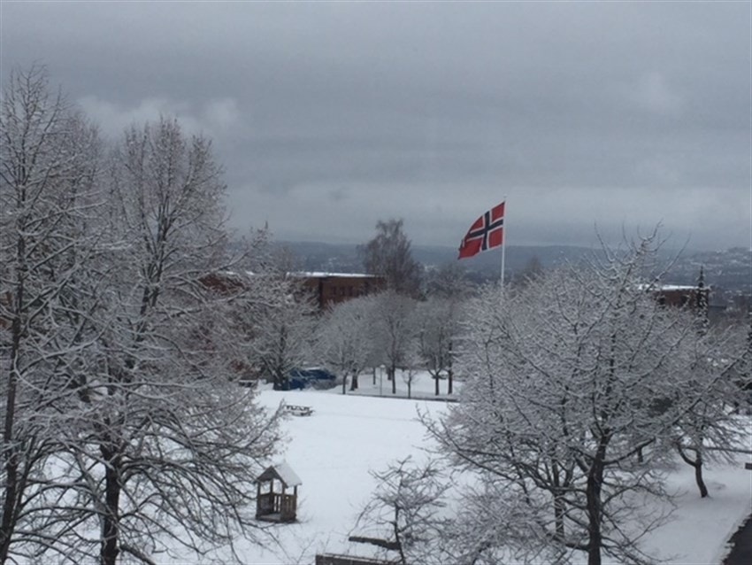 IMG_9355 Galleribilde