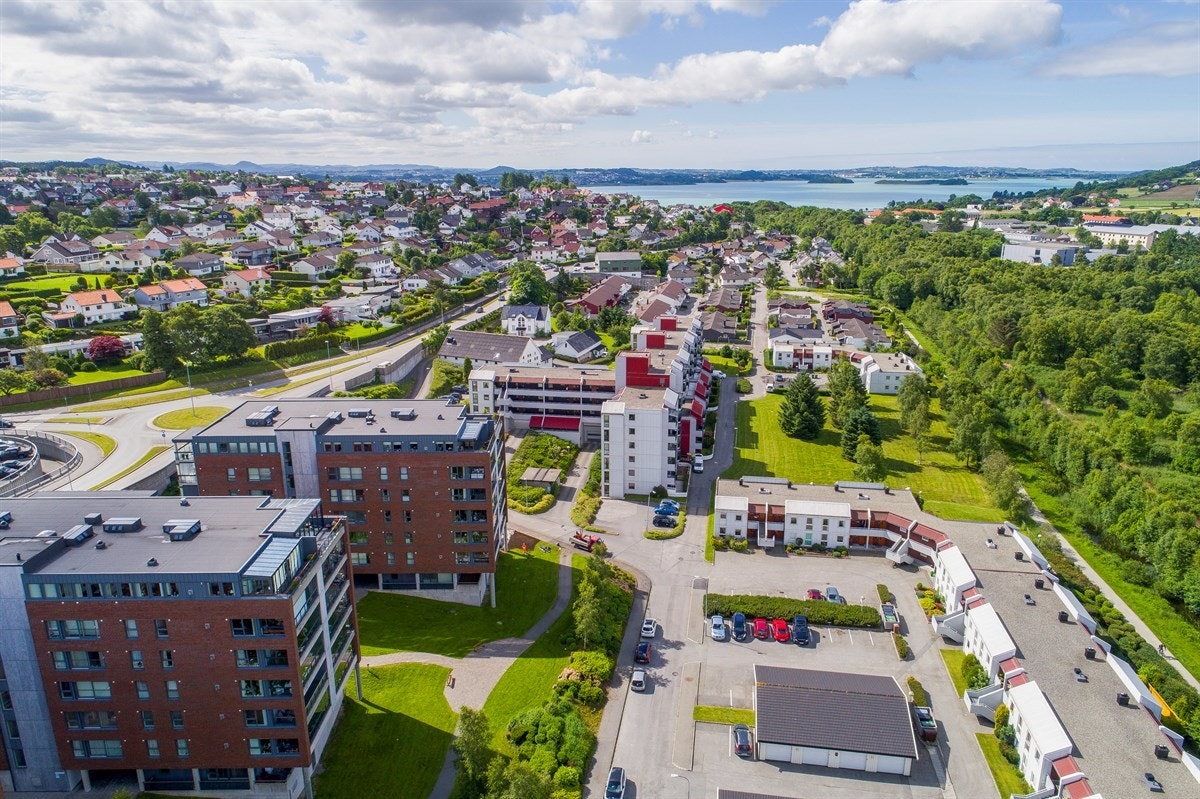 Proaktiv - Fasade Galleribilde