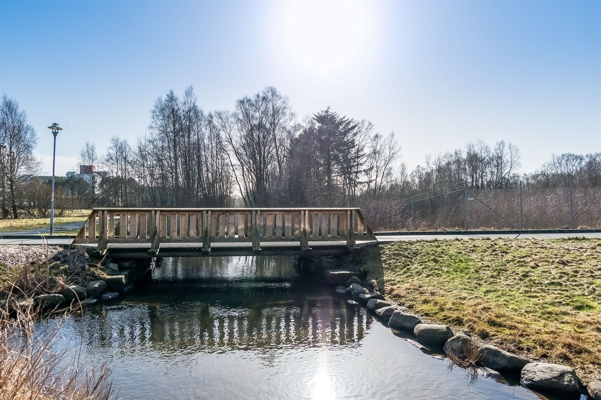 Proaktiv - Nærområdet Galleribilde