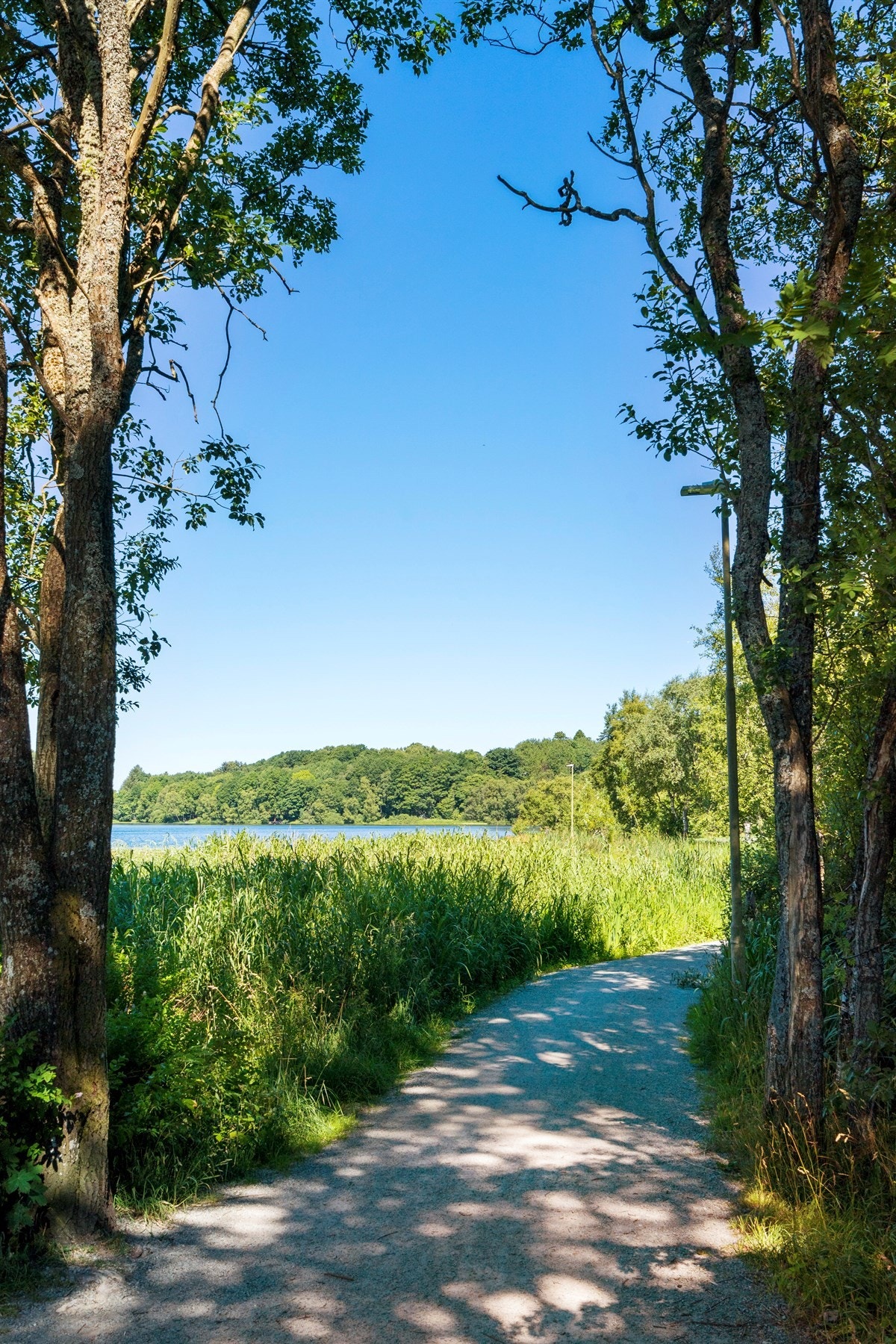 Proaktiv - Nærområdet Galleribilde