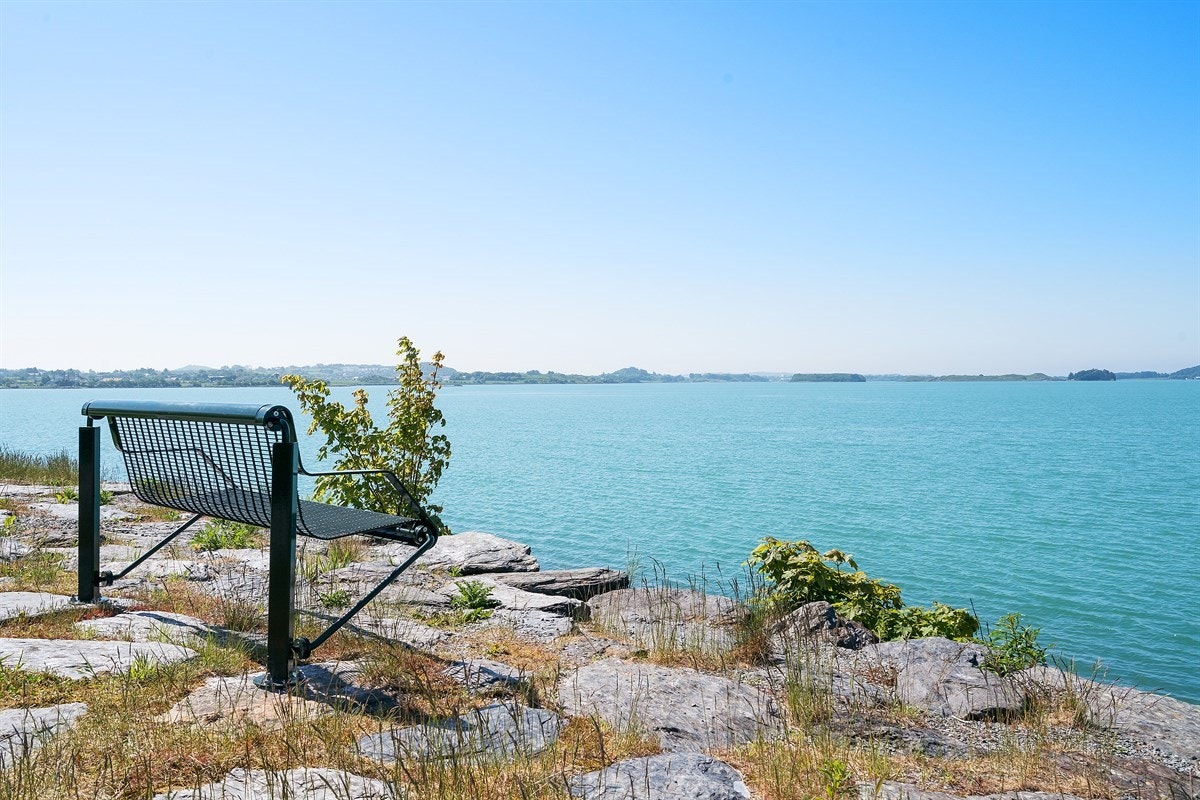 Proaktiv - Nærområdet Galleribilde