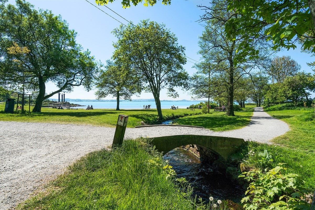 Proaktiv - Nærområdet Galleribilde