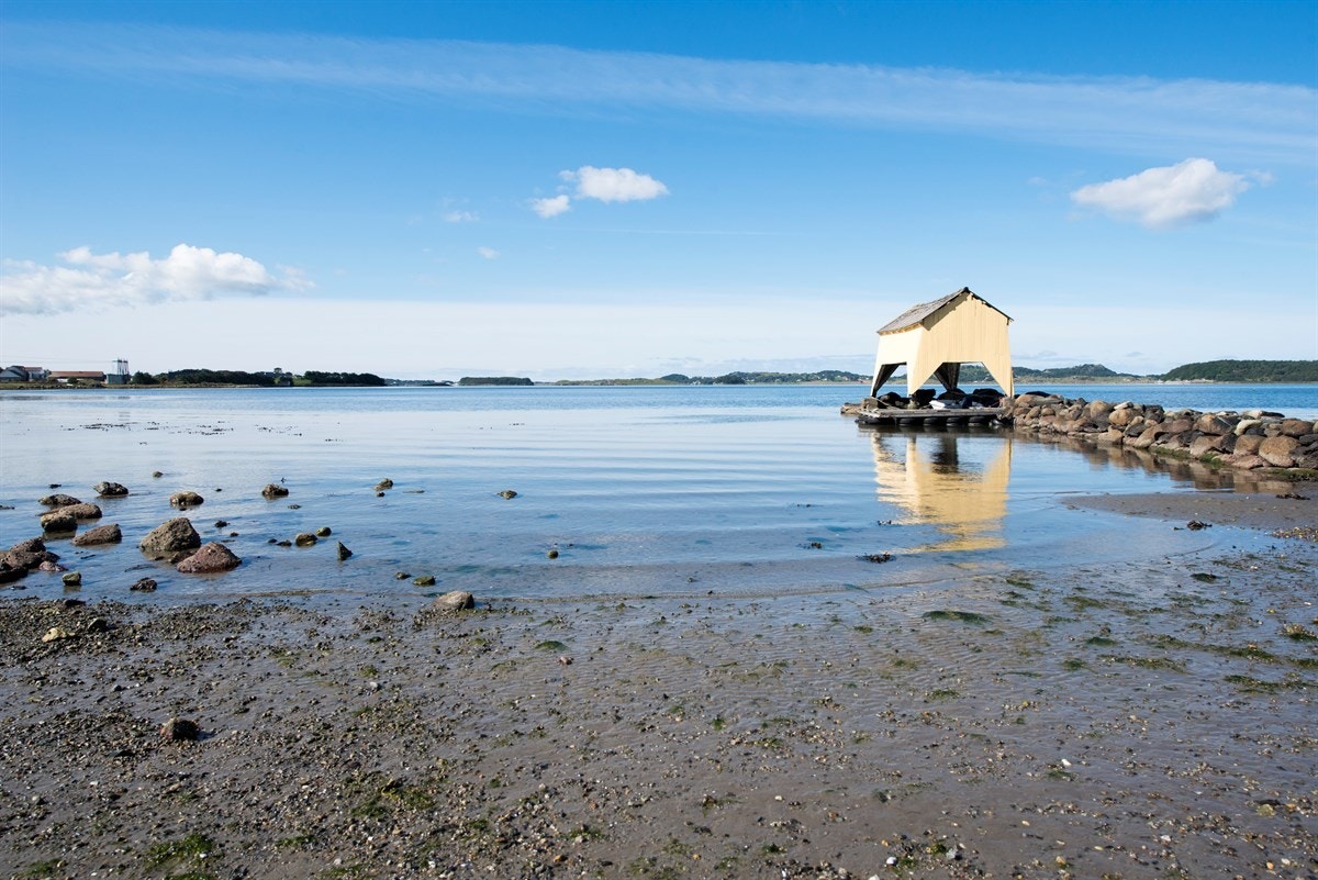 Proaktiv - Nærområdet Galleribilde