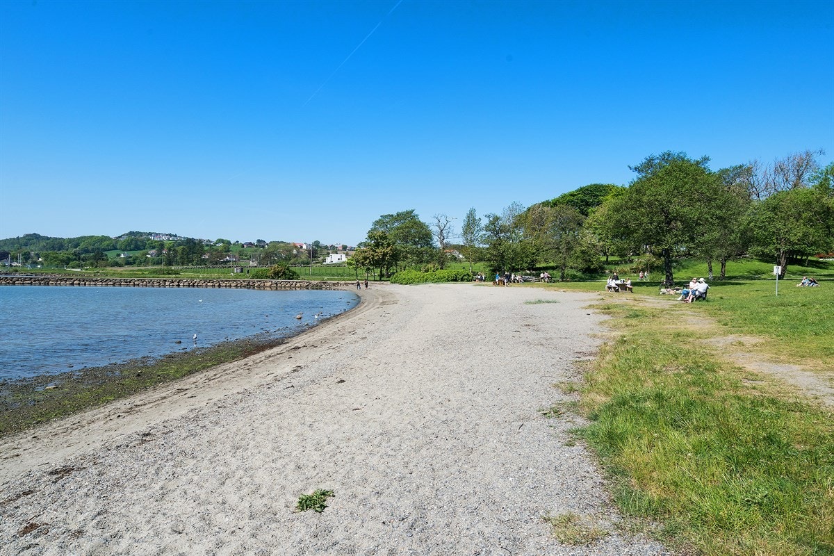 Proaktiv - Nærområdet Galleribilde