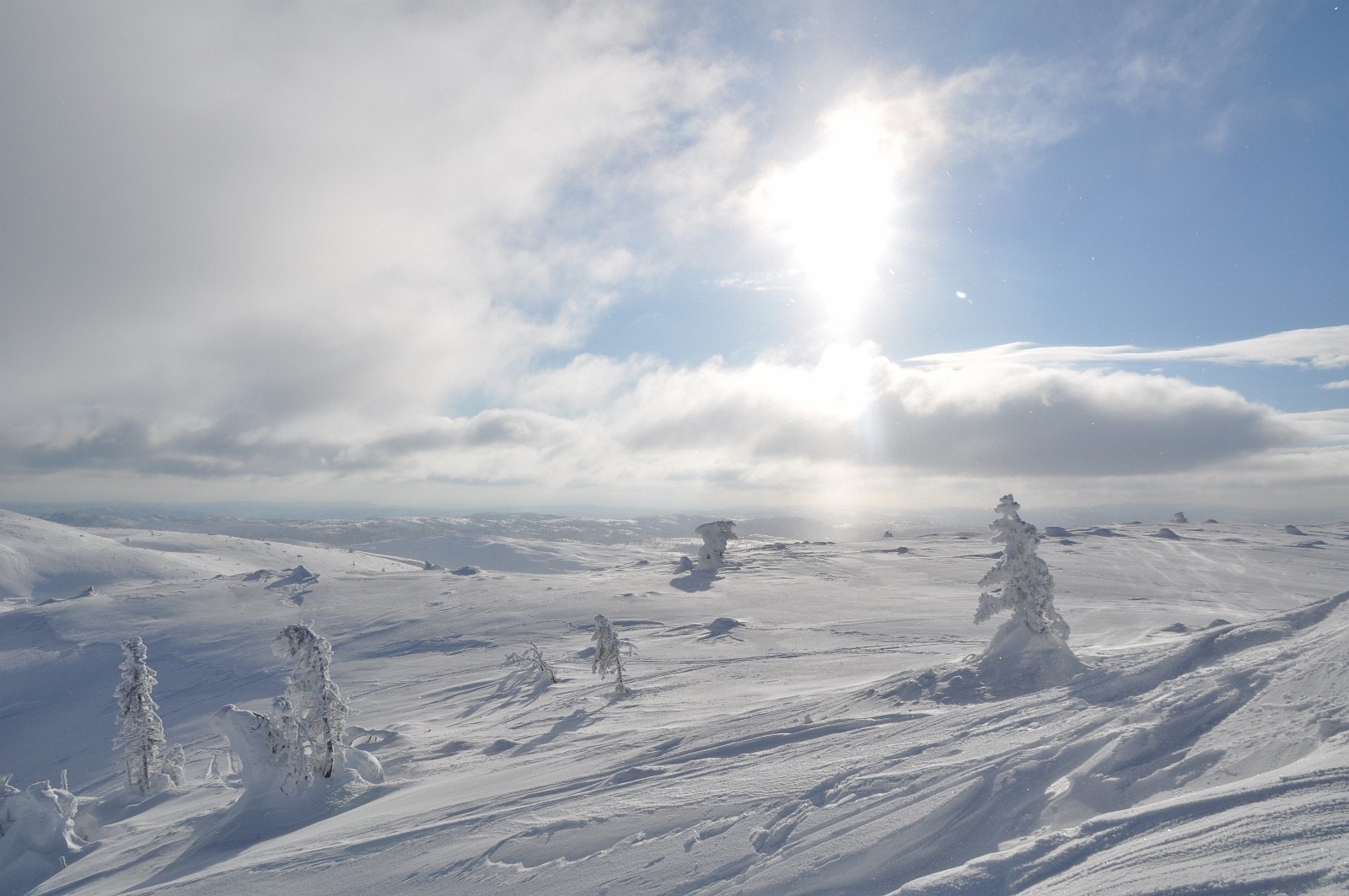 Vinterbilde - nærområde Galleribilde