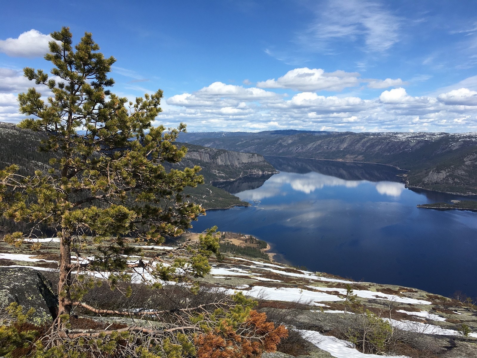 Vårbilde - Nærområde Galleribilde