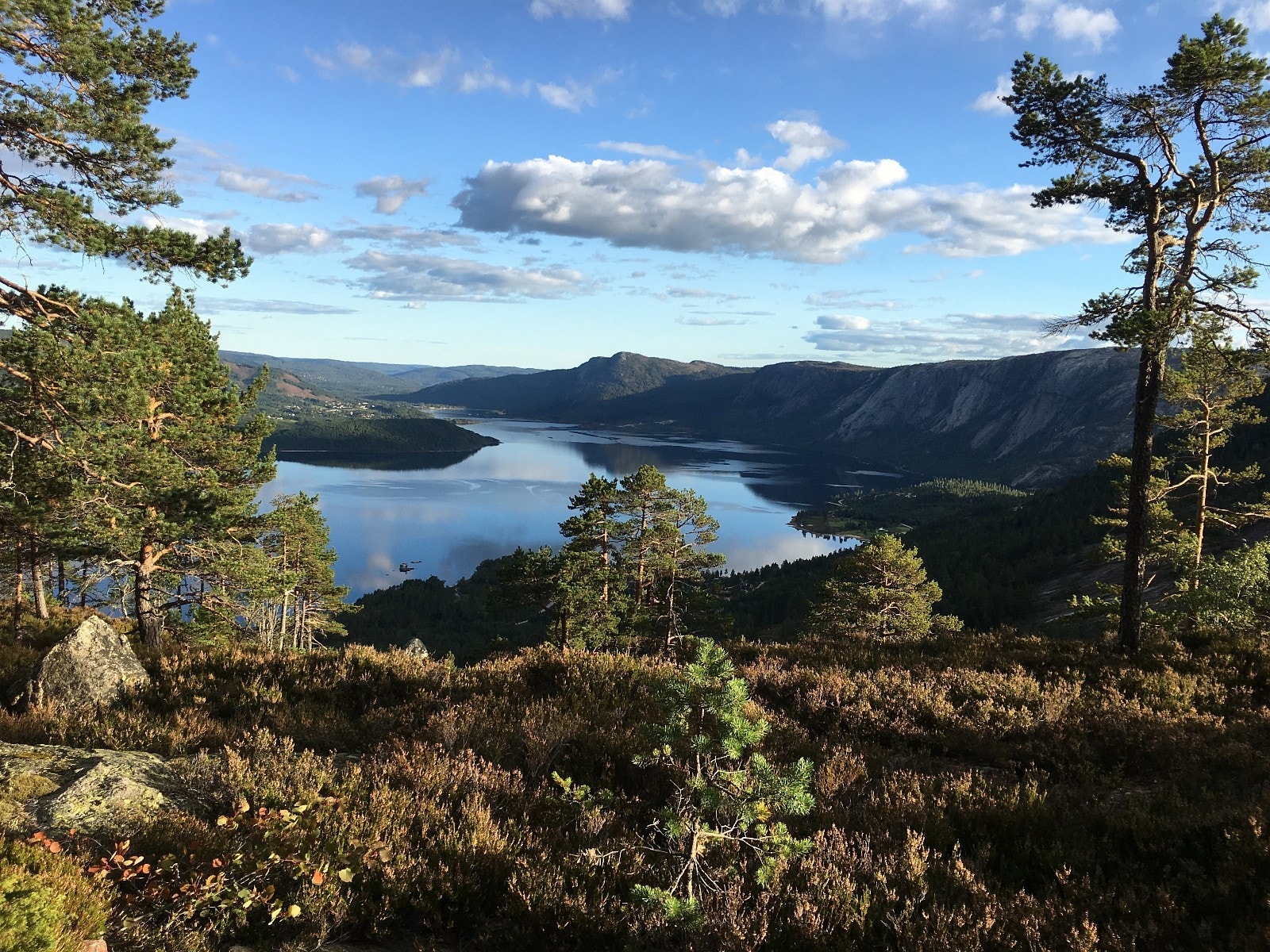 Vårbilde - Nærområde Galleribilde