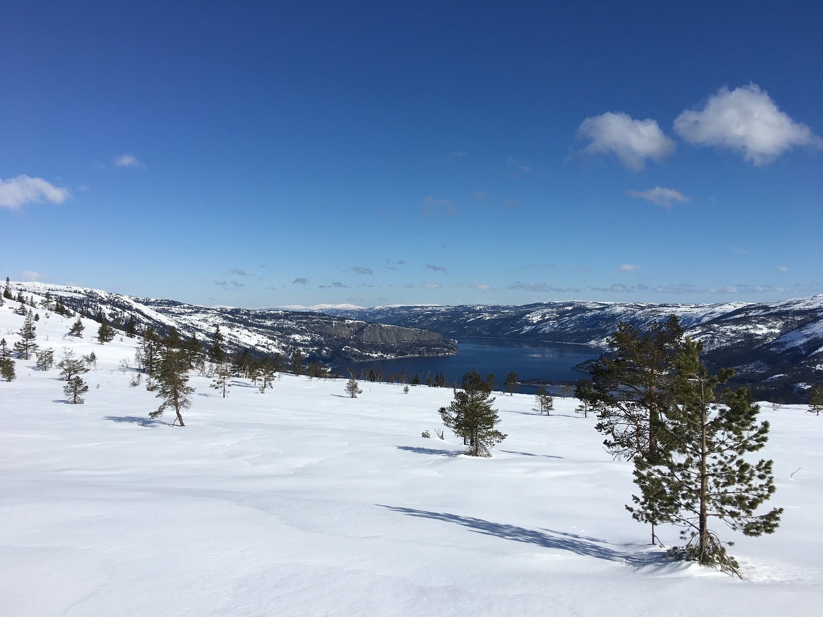 Vinterbilde - nærområde Galleribilde