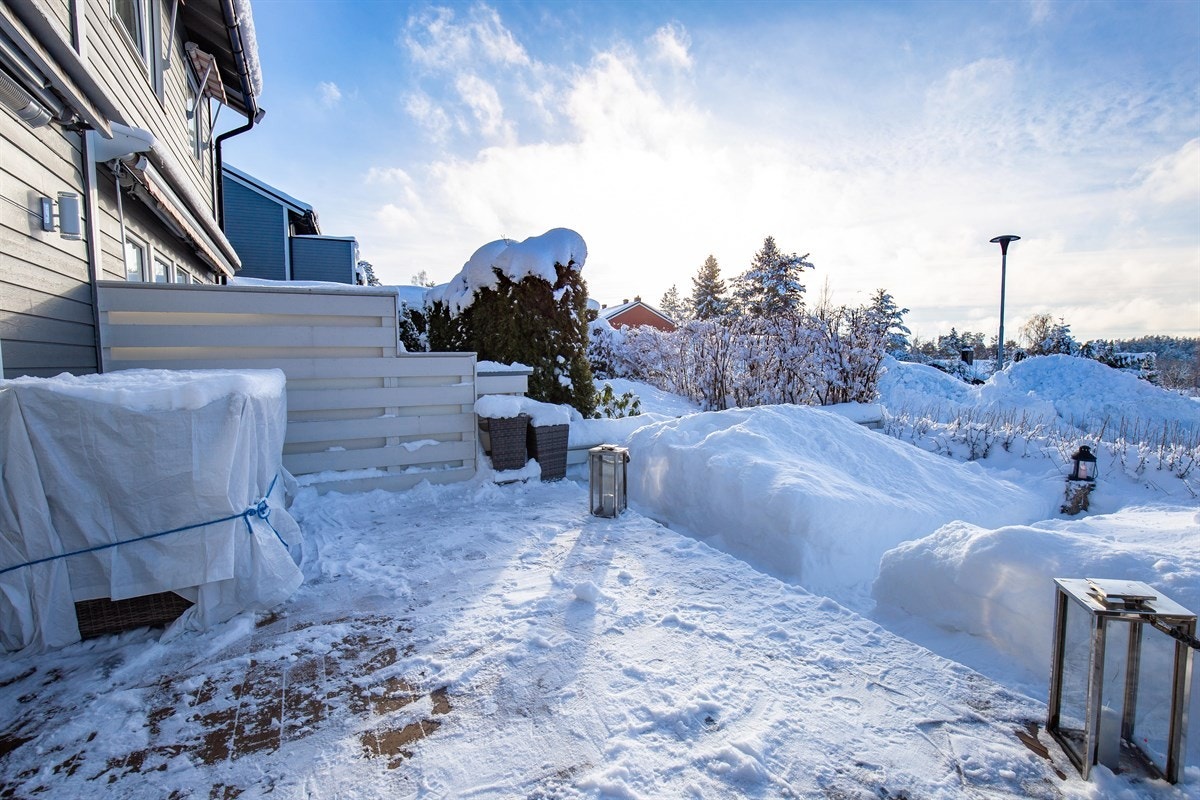 Sett mot syd. Galleribilde