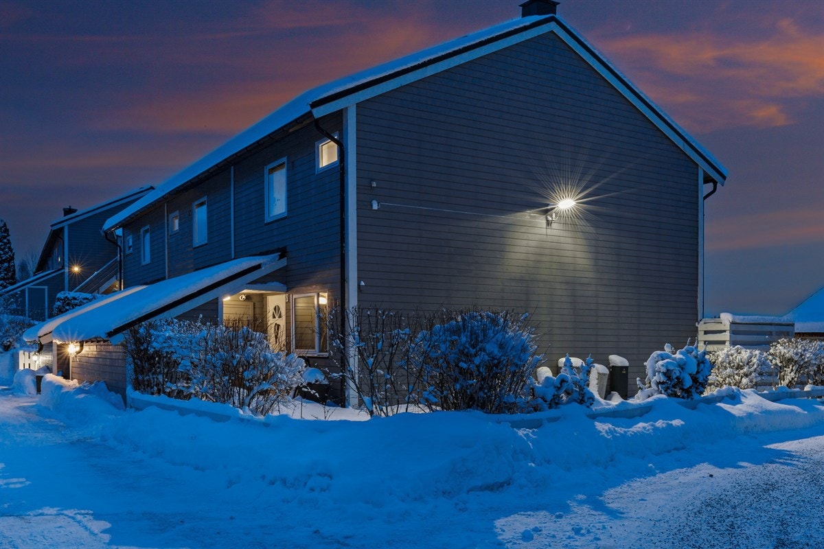 Adkomst Galleribilde