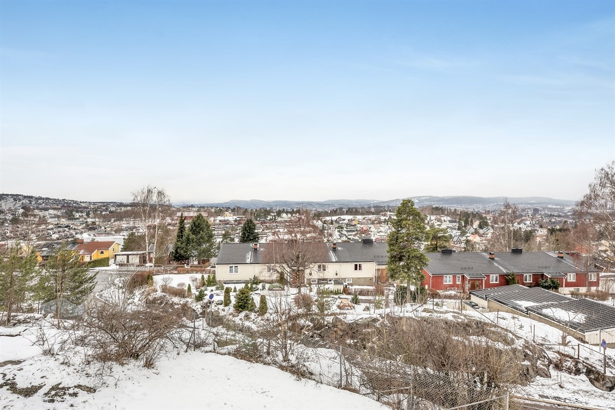 Utsikten mot vest Galleribilde