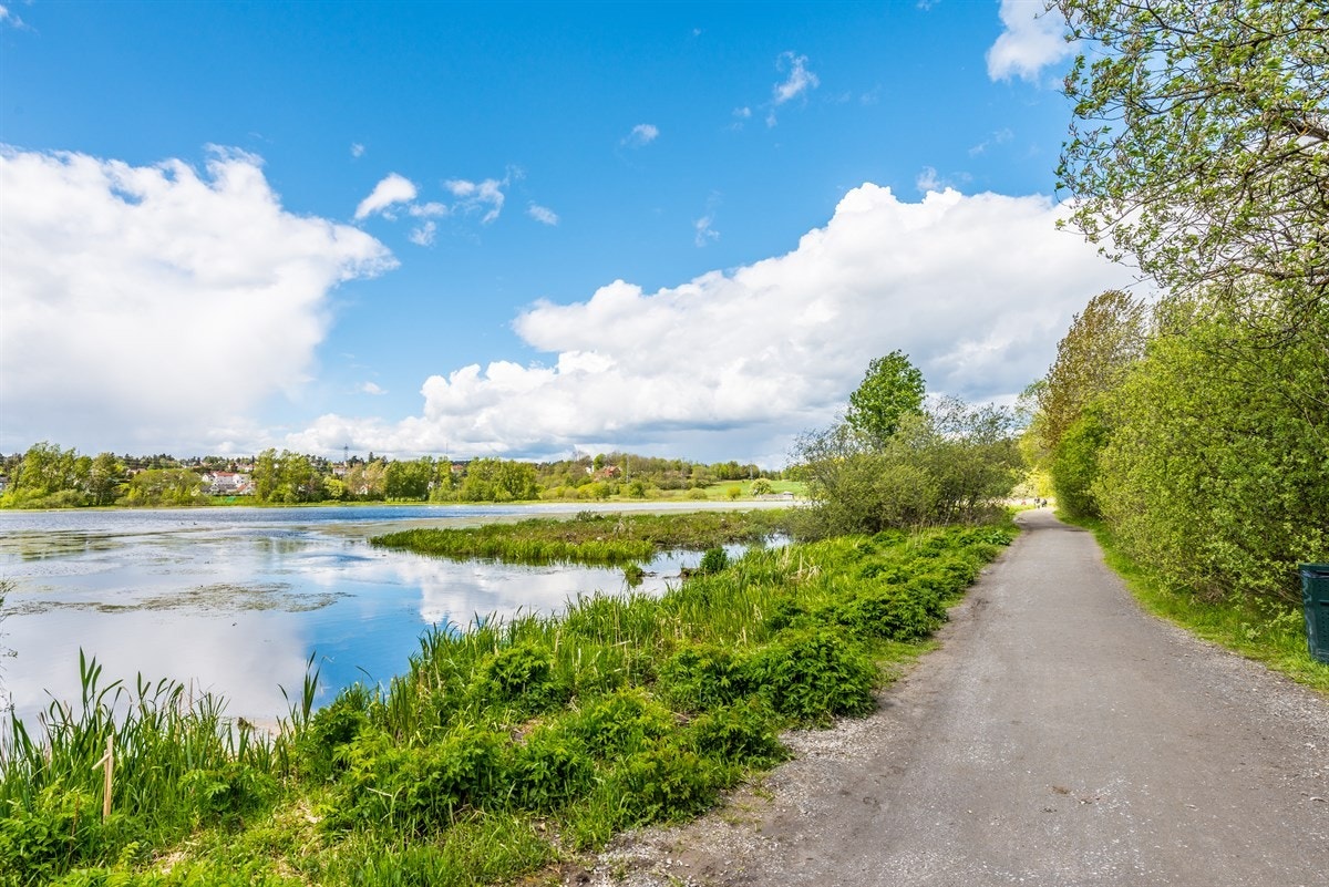 Østensjøvannet Galleribilde
