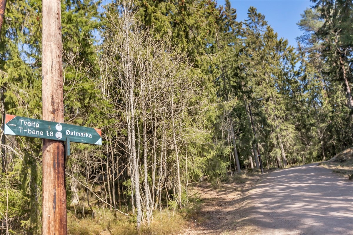 Kort vei tikl Østmarka Galleribilde