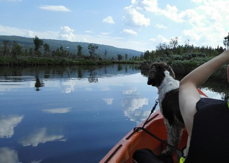 padling på Skurdalsfjorden en flott sommerdag Galleribilde