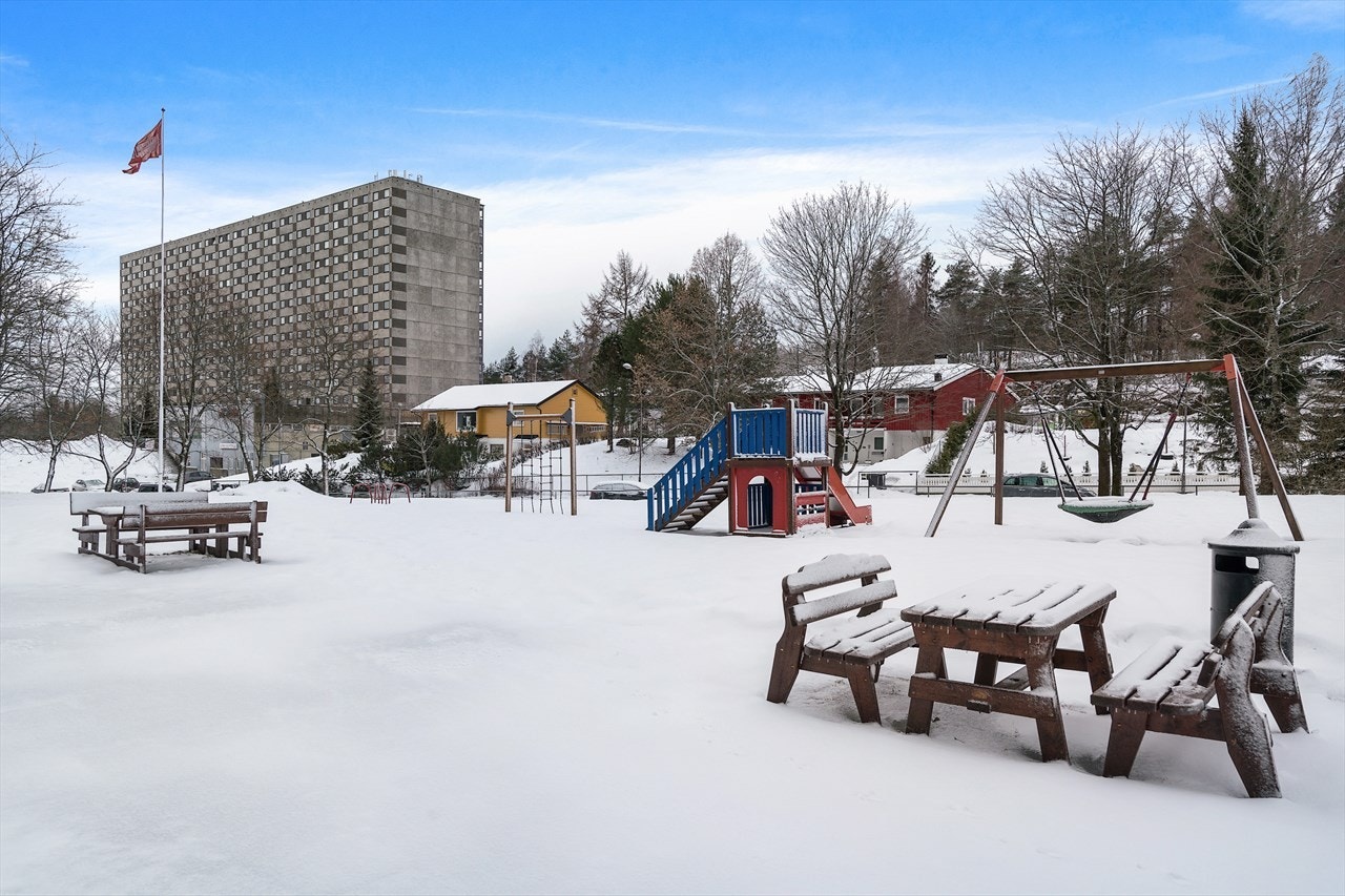 Uteområde. Galleribilde