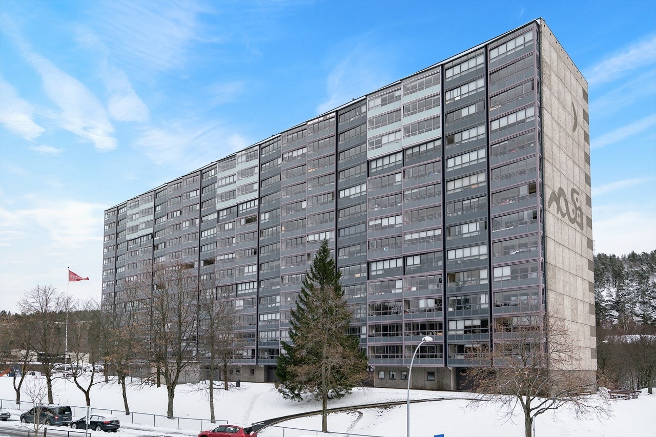 Fasadebilde. Galleribilde