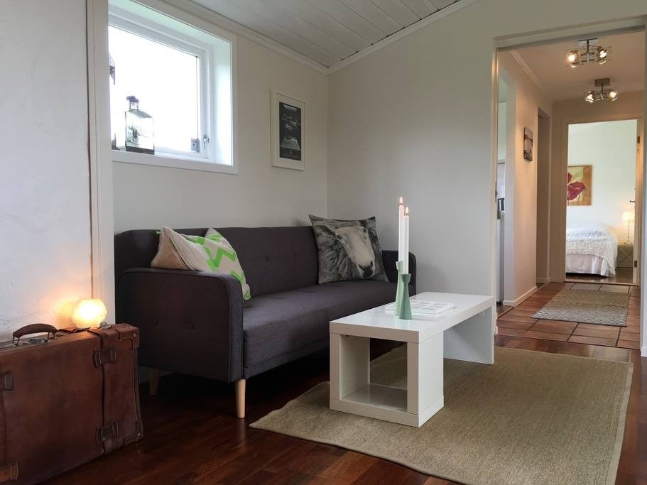 Sofaen på biletet kan foldast ut til ein 110 cm brei seng. Galleribilde