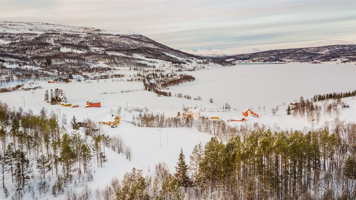 Området