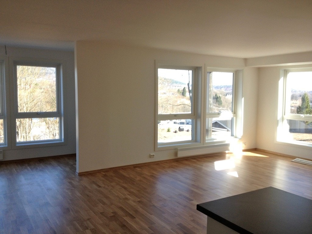 Stue og inngangsparti Galleribilde