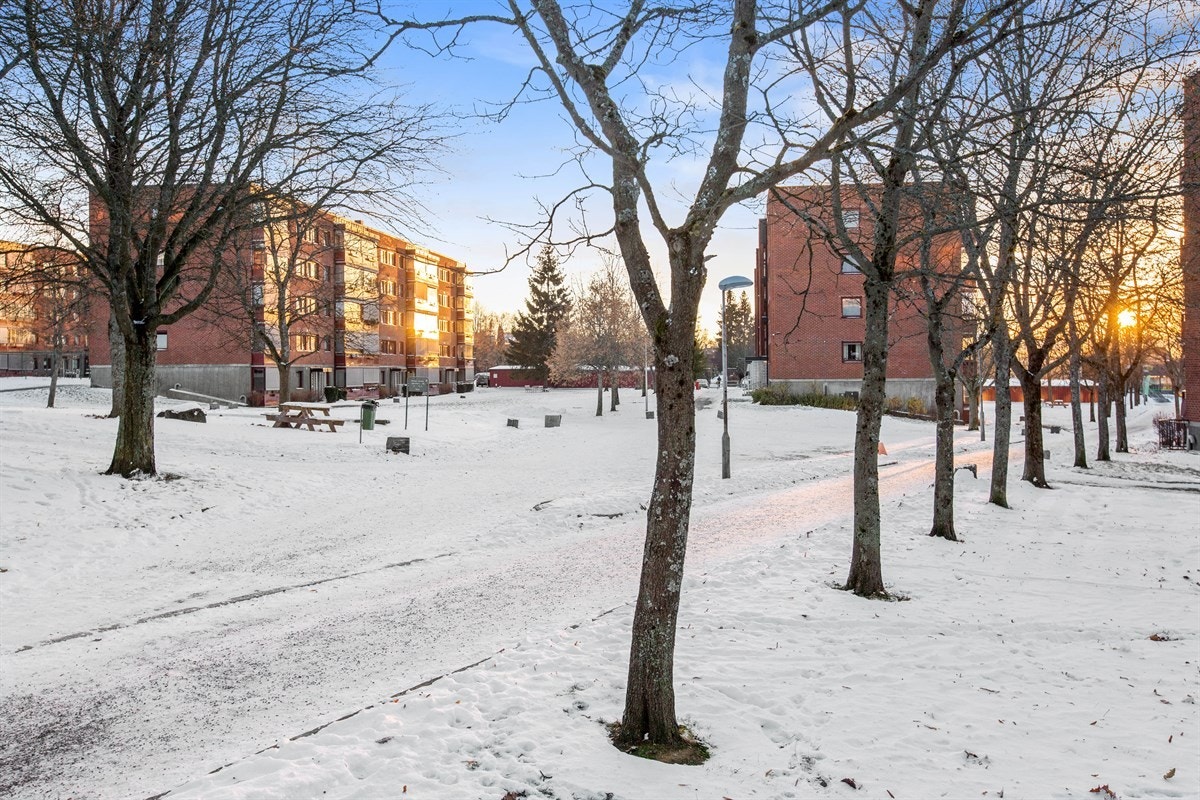 Borettslaget har store og frodige grøntarealer som er beplantet med trær, prydbusker, bed, sittegrupper, lekearealer og asfalterte internveier. Galleribilde